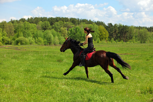 美丽的女人在田野里骑马图片下载
