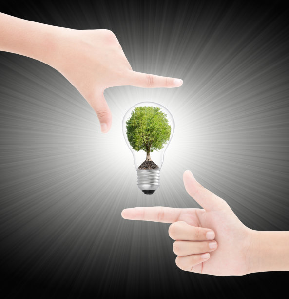 灯泡树的手框架图片下载