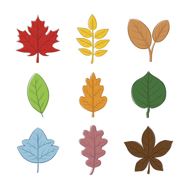 各种秋叶手绘图片下载