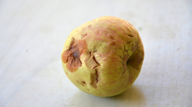 苹果被冰雹毁坏图片下载