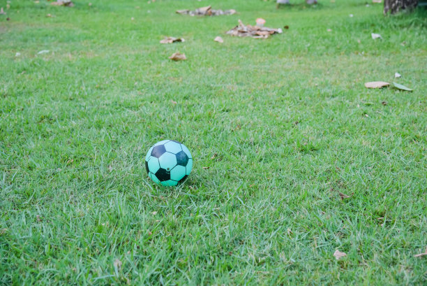 小男孩图片下载