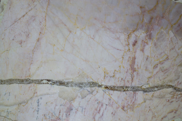 手放在白色背景上图片下载