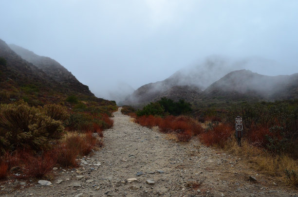 雾中的Deukmejian荒野公园小径图片下载
