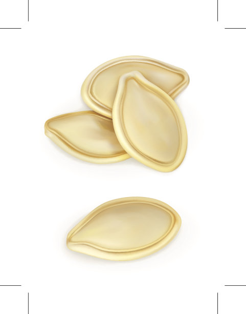 南瓜种子图标素材图片