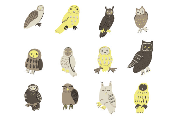 猫头鹰森林动物集图片下载