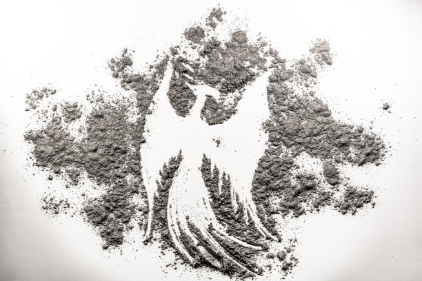 凤凰鸟语，在灰中重生图片下载