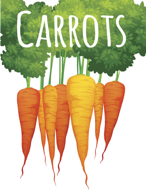 新鲜胡萝卜与文字设计图片下载