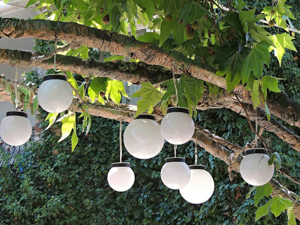 街上的灯。图片下载