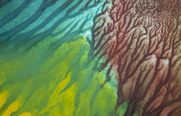 亮色背景图片下载