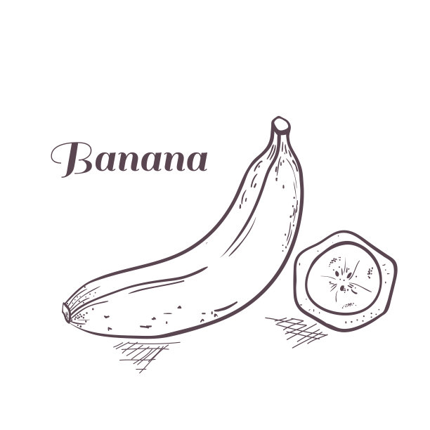矢量插图雕刻香蕉图片下载