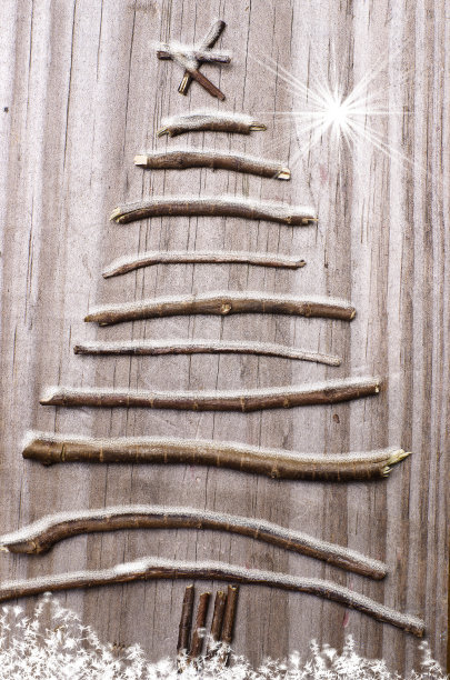 圣诞树用树枝排列在白色的木制背景上。图片下载