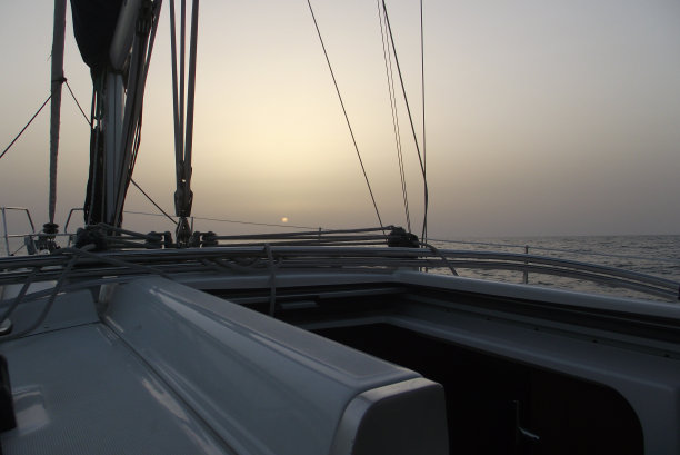 向太阳图片下载