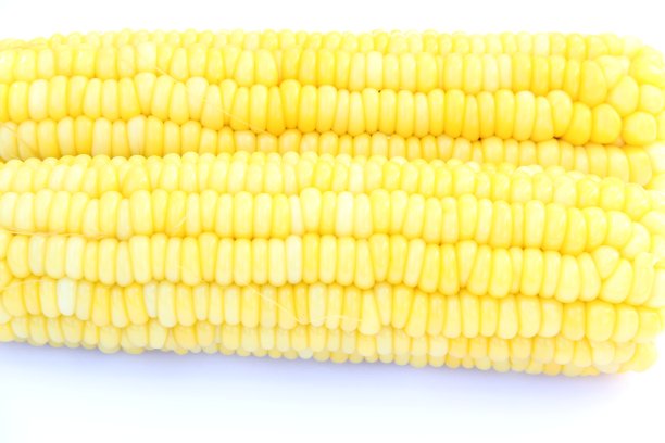 泰国成熟的黄色玉米图片下载