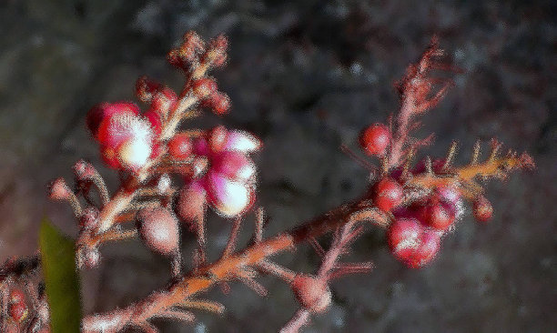 玻璃效果的花图片下载