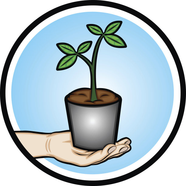 手里拿着一盆植物图片下载