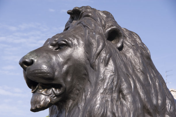 狮子，特拉法加广场，伦敦图片下载