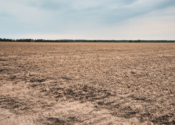 早上在犁过的田里图片下载