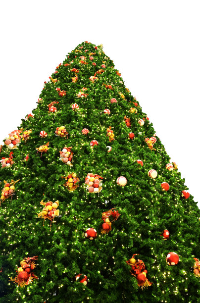 装饰圣诞树图片下载