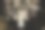 吊灯特写镜头图片下载
