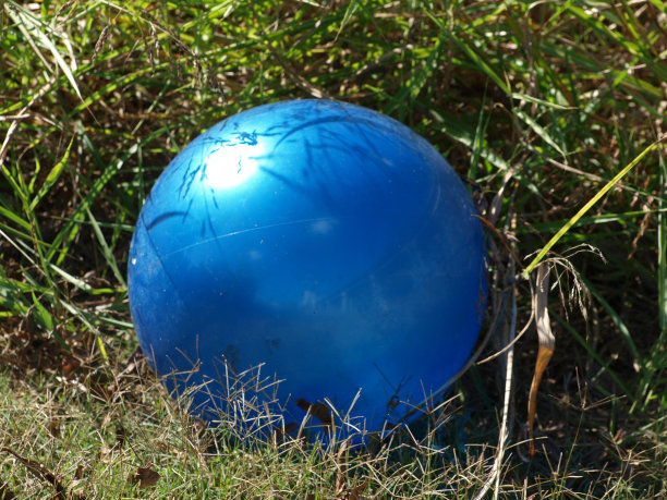 失去了蓝色球图片下载