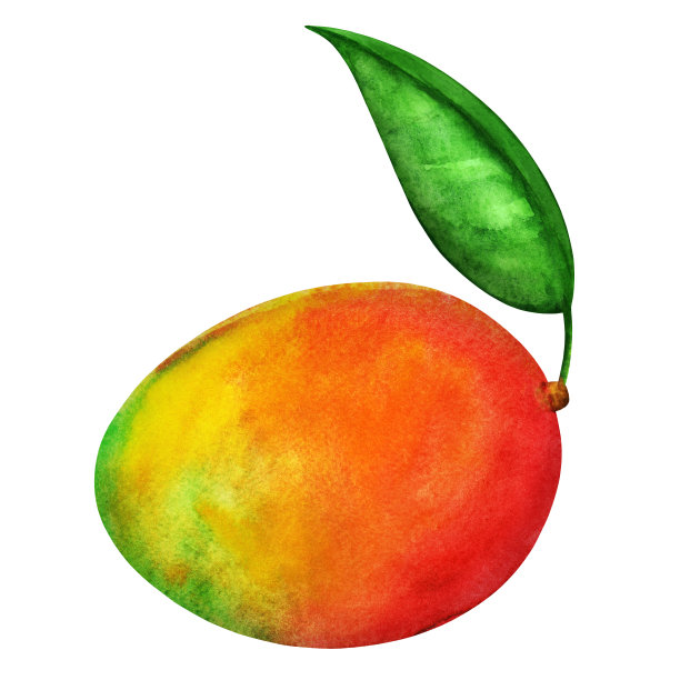 水彩芒果的叶子图片下载
