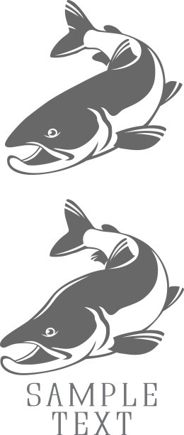 图标鲑鱼图片下载