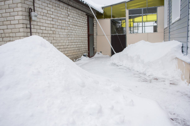 雪在后院图片下载