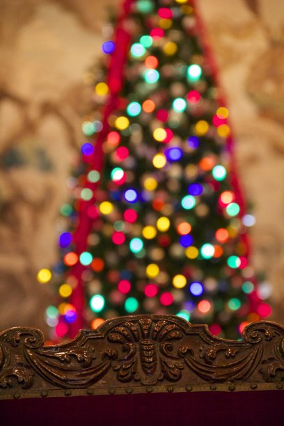 神奇的圣诞树图片下载