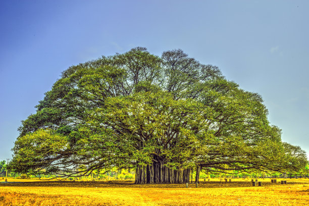 悦榕庄图片下载