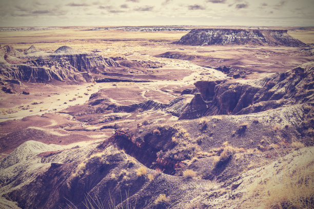 绘画沙漠的复古照片。图片下载