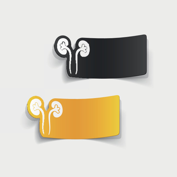 现实设计元素:肾脏，医学图片下载