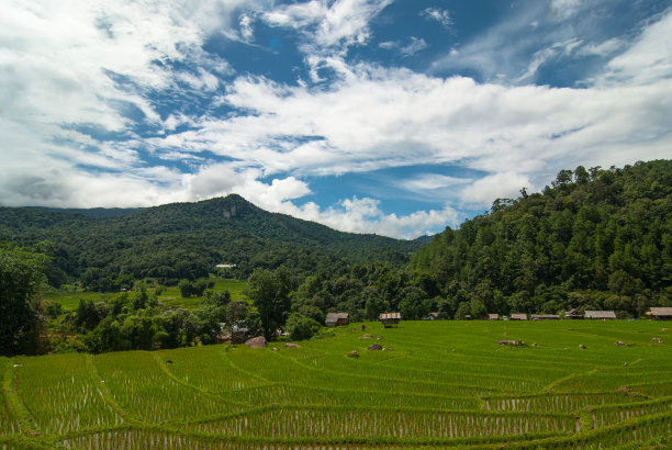 高观点图片下载