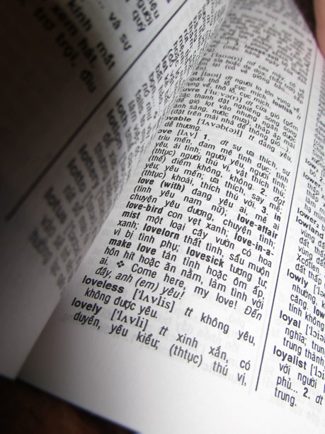 越南语词典图片下载
