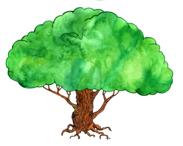 水彩的绿树图片下载