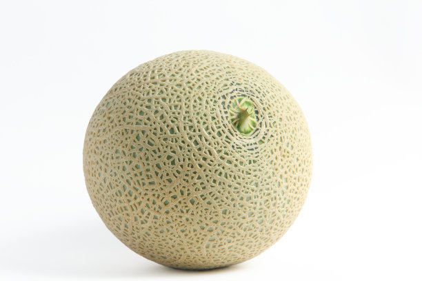 哈密瓜瓜图片下载