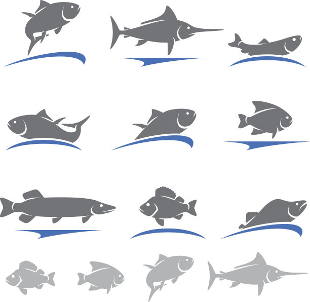 鱼。向量图片下载