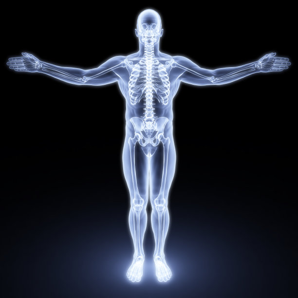 男性身体图片下载