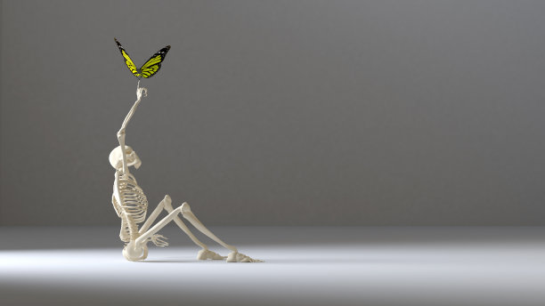骨架和蝴蝶图片下载