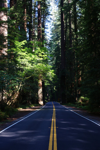 巨人大道图片下载