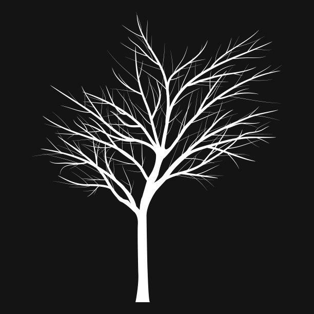 枯枝的树图片下载