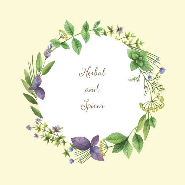 水彩矢量手绘框架与香草和香料。图片下载
