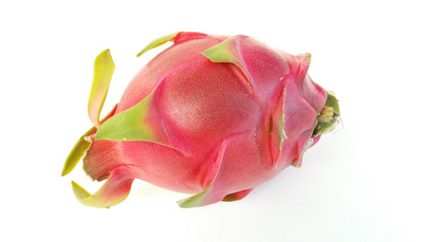 白底火龙果图片下载