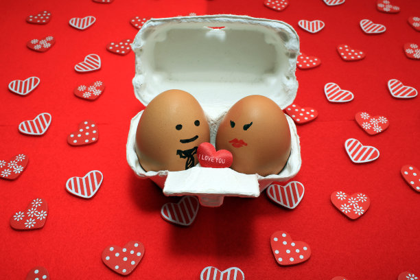 鸡蛋夫妇在自己的房子里图片下载