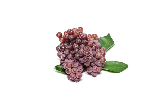 红葡萄2图片下载