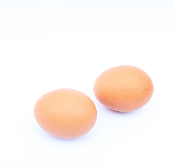 白色背景的新鲜鸡蛋图片下载