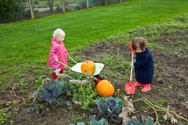 可持续园艺儿童帮助分配铲子和独轮车图片下载