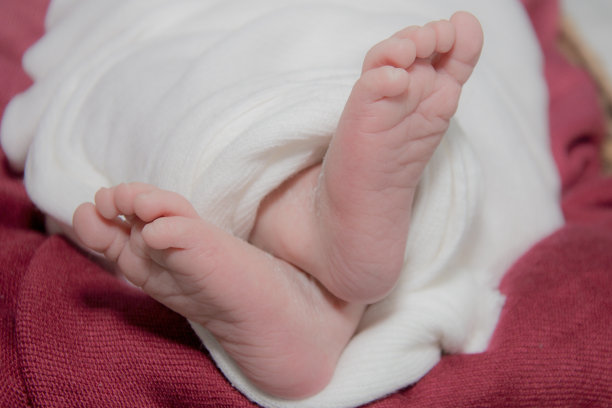 宝宝的脚图片下载