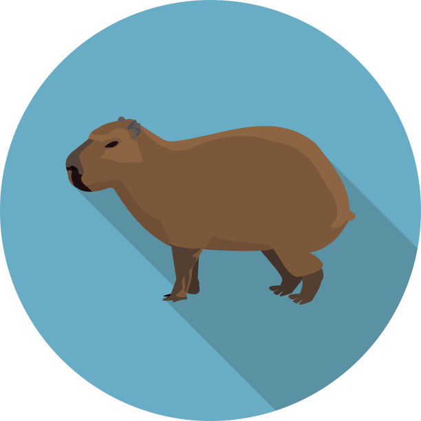 扁平的图标是水豚图片下载