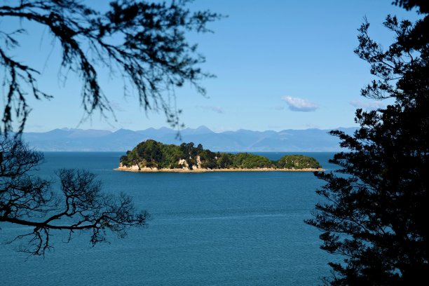 岛屿周围是树木的轮廓图片下载