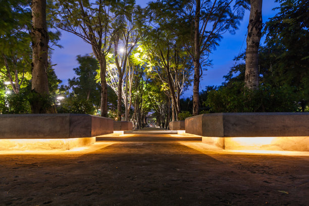 夜间大道图片下载